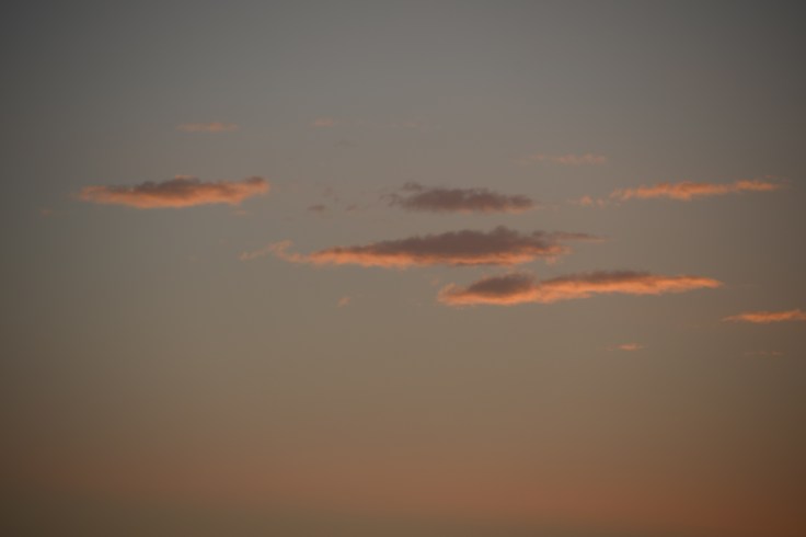 Objektiv, Vignette, Vignettierung, Optik, Abdunklung, Objektivauswahl, Kaufberatung