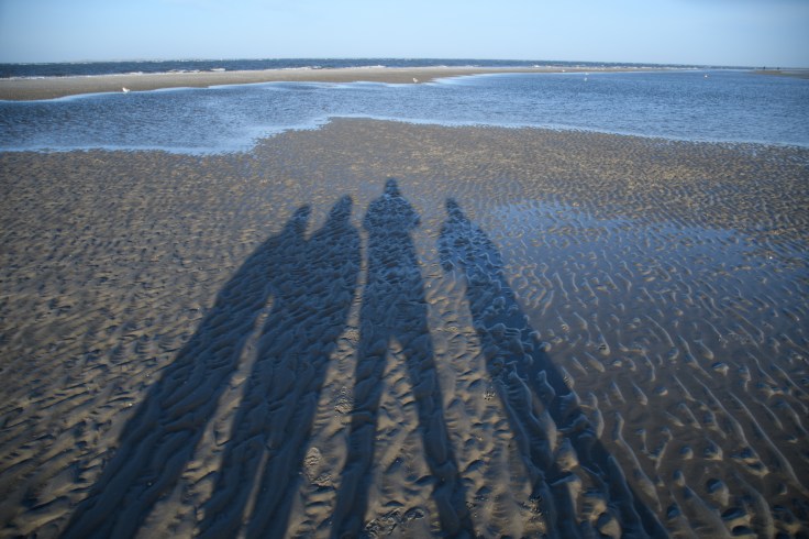 Fotografie, Verzeichnung, Verzerrung, Optik, Perspektive, Verformung