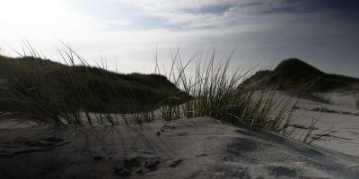 rollei, rundfilter, test, abdunklung, enttäuschung, schlecht, bewertung, rand, ränder, dunkel, variabel, variabler