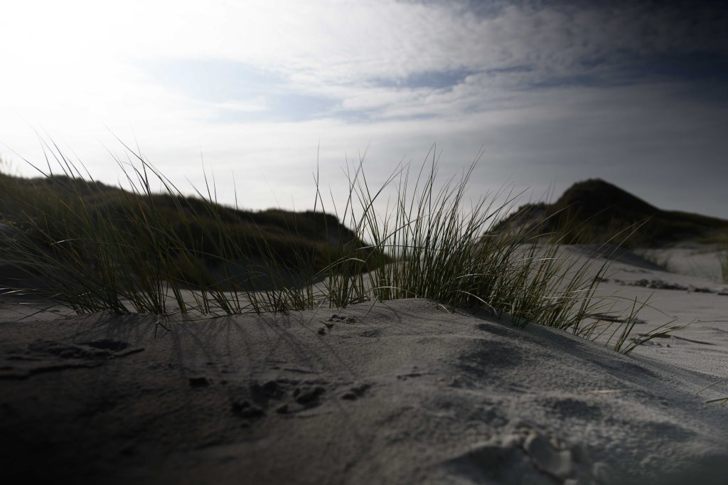 rollei, rundfilter, test, abdunklung, enttäuschung, schlecht, bewertung, rand, ränder, dunkel, variabel, variabler